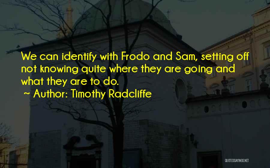 Sam And Frodo Quotes By Timothy Radcliffe