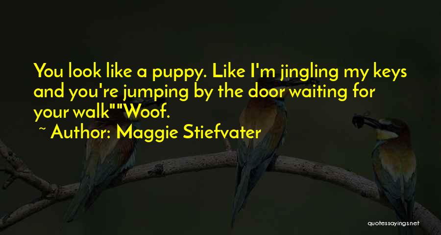 Sam And Grace Quotes By Maggie Stiefvater Sam And Grace Quotes By Maggie Stiefvater