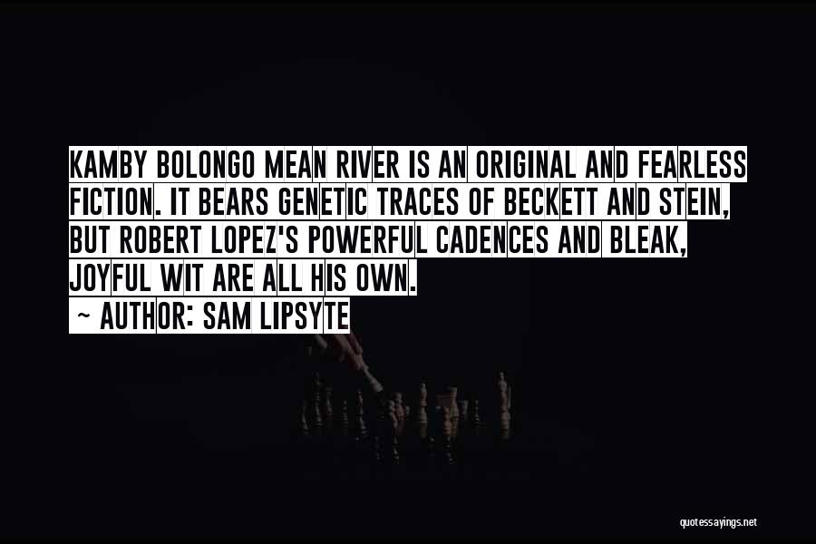 Sam Beckett Quotes By Sam Lipsyte