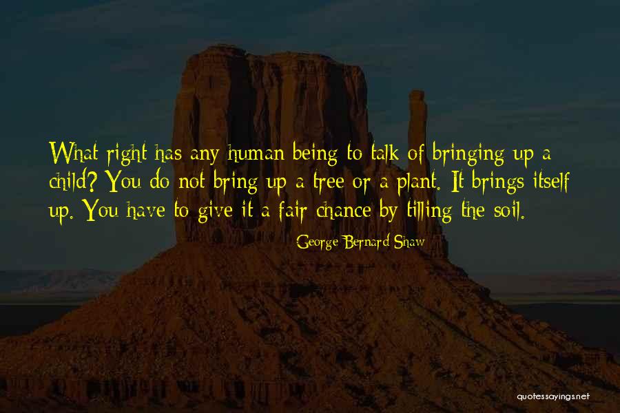 Sam Giddings Quotes By George Bernard Shaw Sam Giddings Quotes By George Bernard Shaw