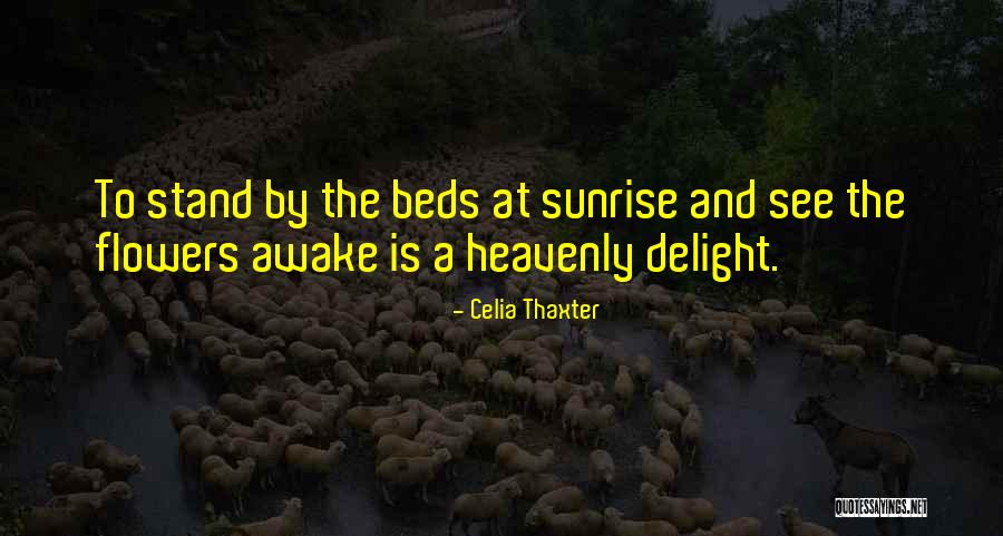 Sam Gideon Quotes By Celia Thaxter Sam Gideon Quotes By Celia Thaxter