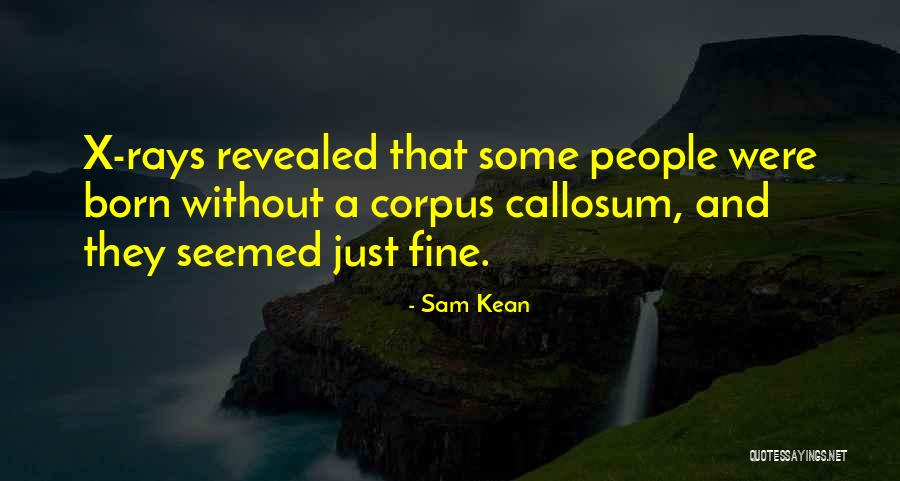 Sam Kean Quotes 1792847