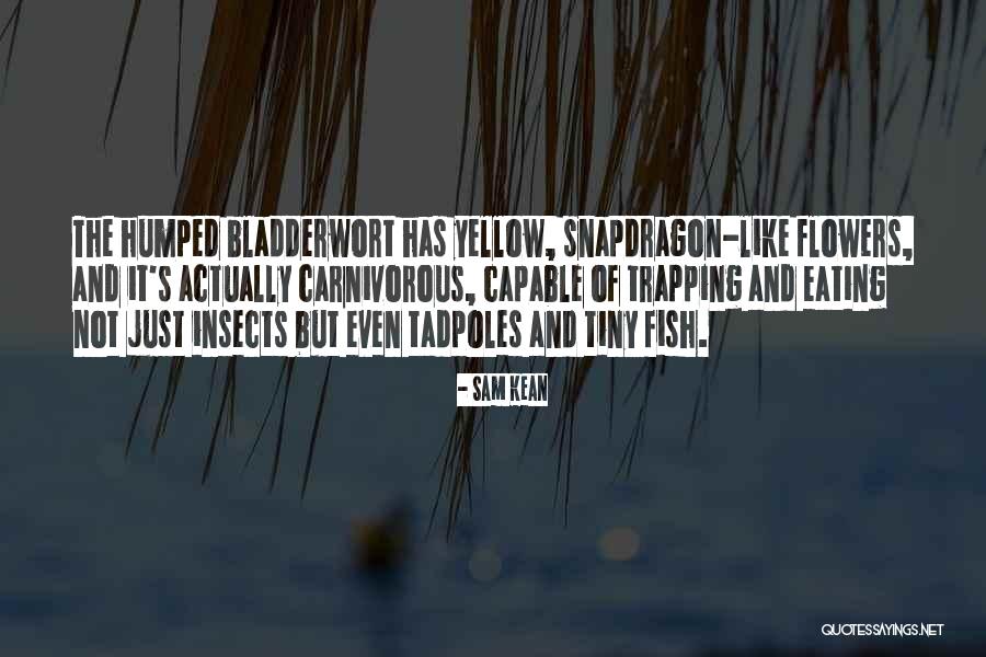 Sam Kean Quotes 2087540 Sam Kean Quotes 2087540