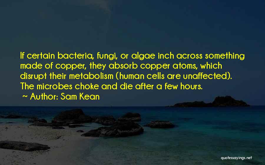 Sam Kean Quotes 532507