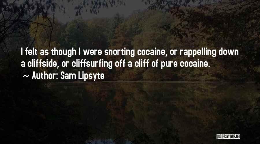 Sam Lipsyte Quotes 1722221