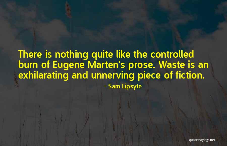 Sam Lipsyte Quotes 2200106