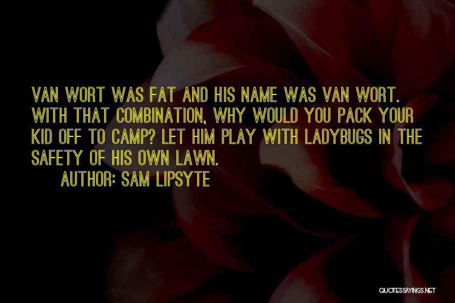 Sam Lipsyte Quotes 343612