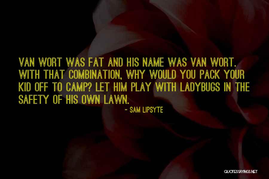 Sam Lipsyte Quotes 343612