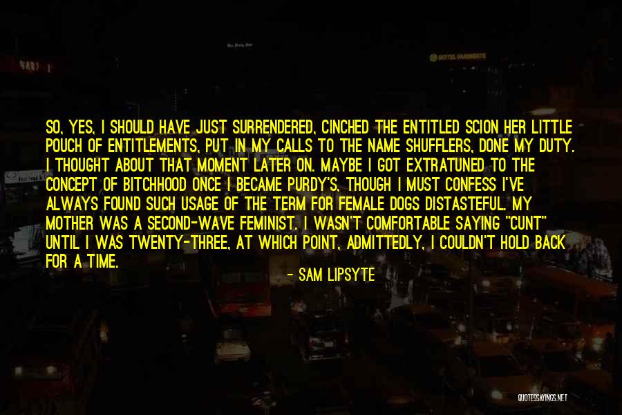 Sam Lipsyte Quotes 767780