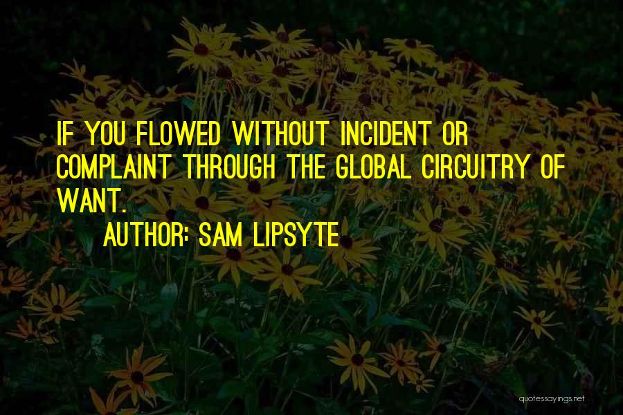 Sam Lipsyte Quotes 863796