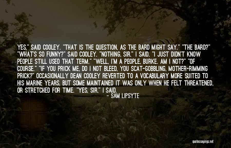 Sam Lipsyte Quotes 871971