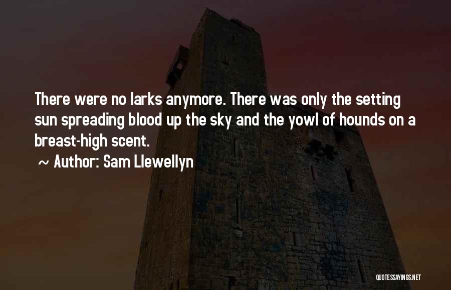 Sam Llewellyn Quotes 672910