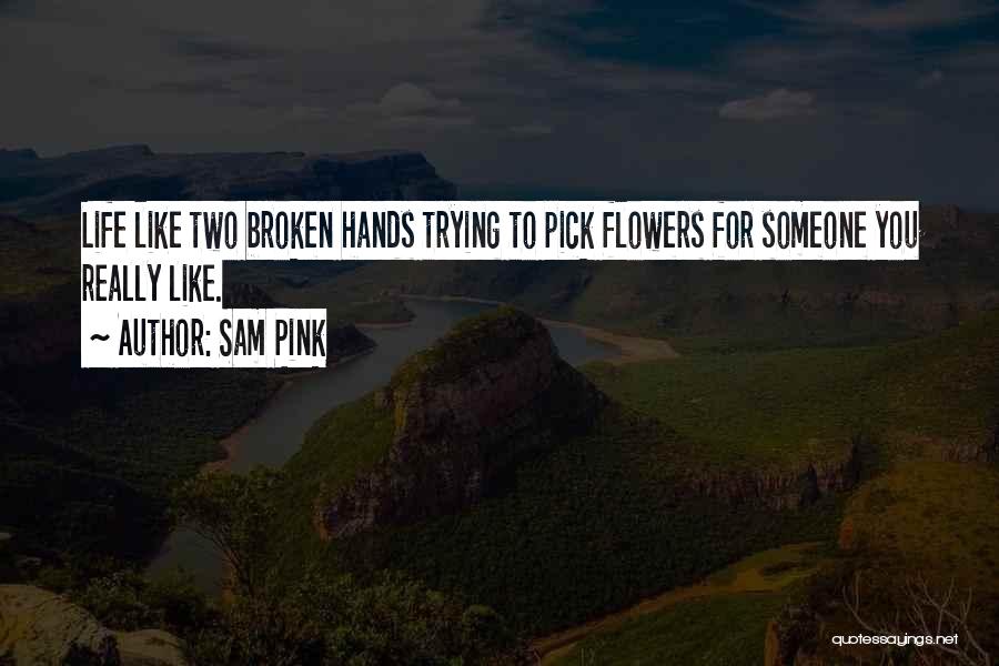 Sam Pink Quotes 1846575