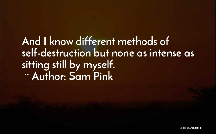 Sam Pink Quotes 549371