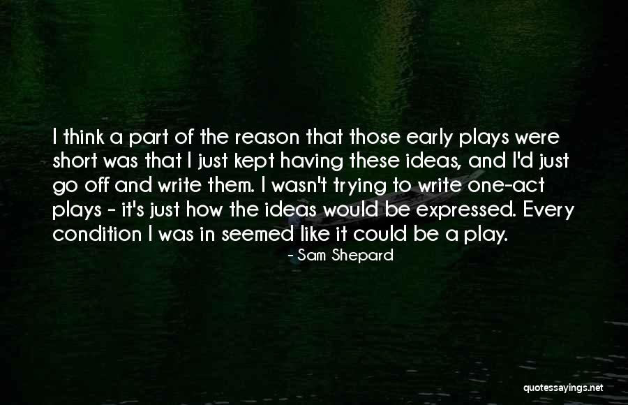 Sam Shepard Quotes 2234099