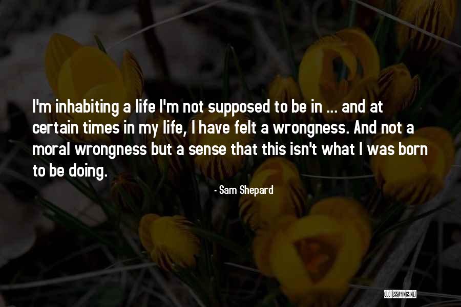 Sam Shepard Quotes 358529