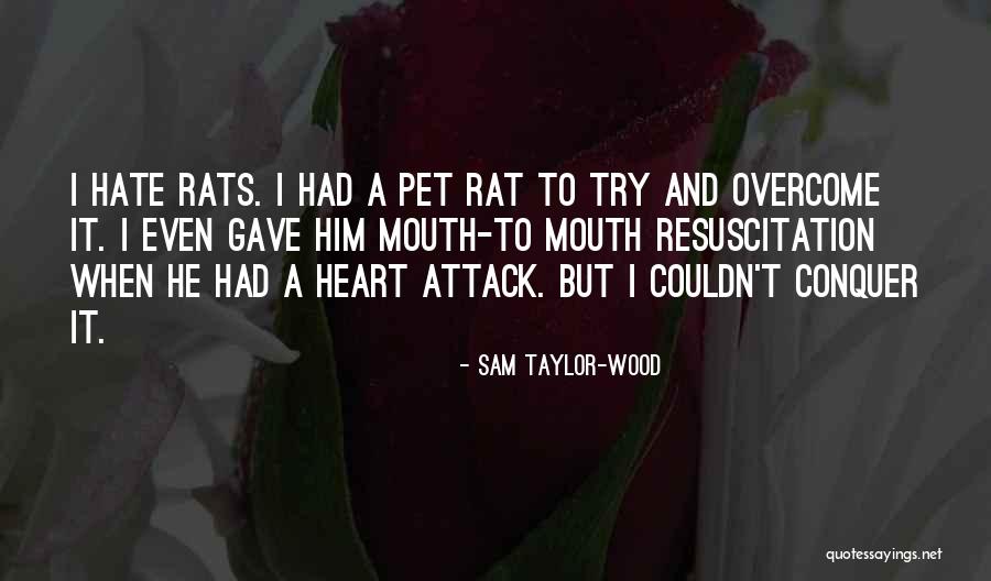 Sam Taylor-Wood Quotes 1149112