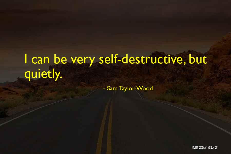 Sam Taylor-Wood Quotes 1340783