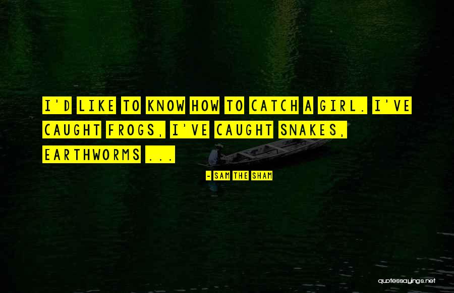 Sam The Sham Quotes 266136 Sam The Sham Quotes 266136
