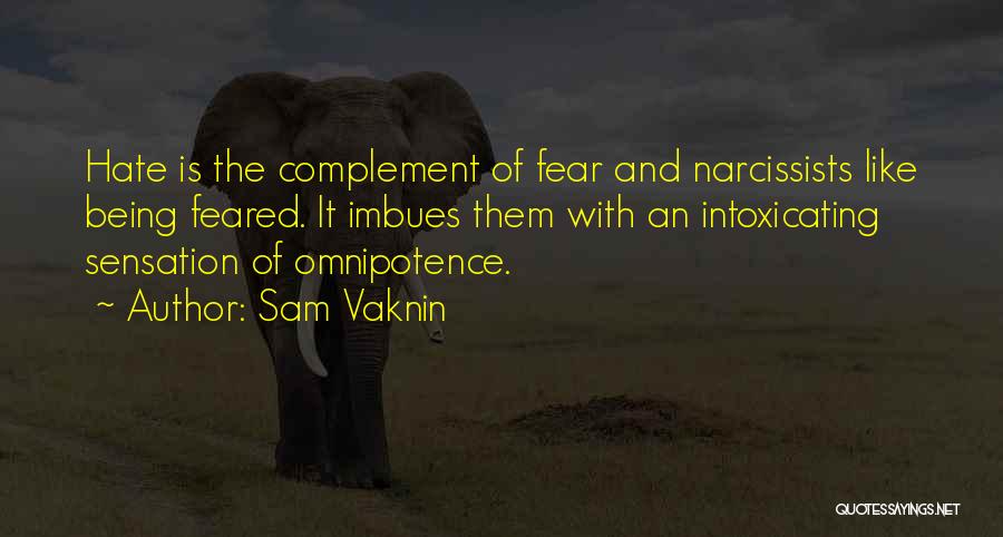 Sam Vaknin Quotes 1195490