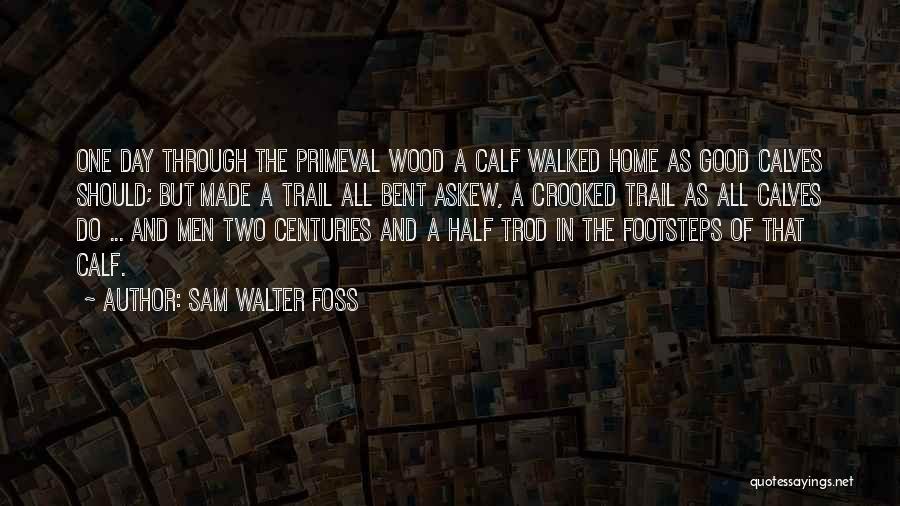 Sam Walter Foss Quotes 1093817