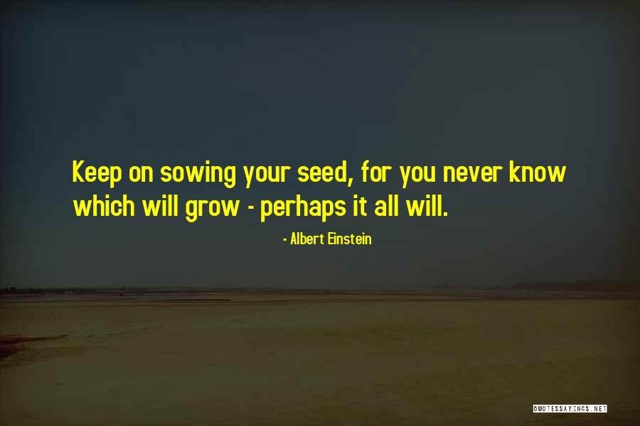 Samad Siddiqui Quotes By Albert Einstein Samad Siddiqui Quotes By Albert Einstein