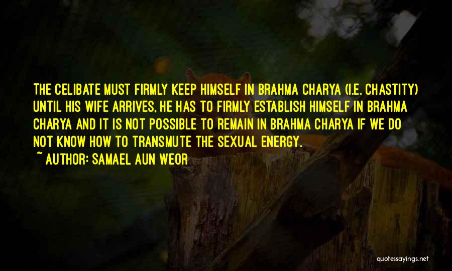 Samael Aun Weor Quotes 2192377 Samael Aun Weor Quotes 2192377