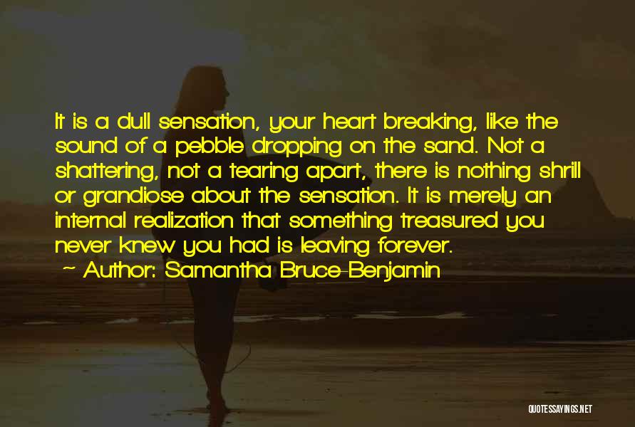 Samantha Bruce-Benjamin Quotes 101508