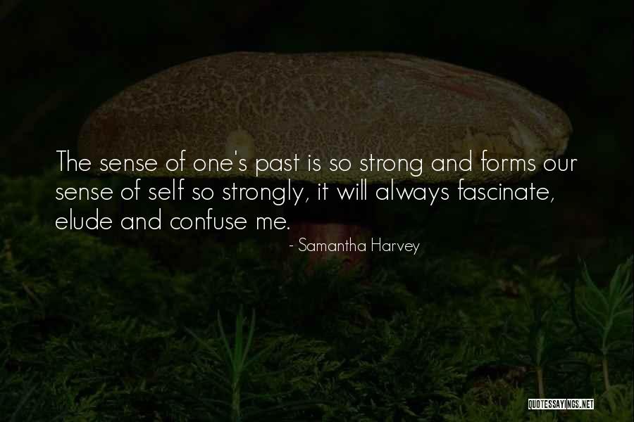 Samantha Harvey Quotes 631717 Samantha Harvey Quotes 631717