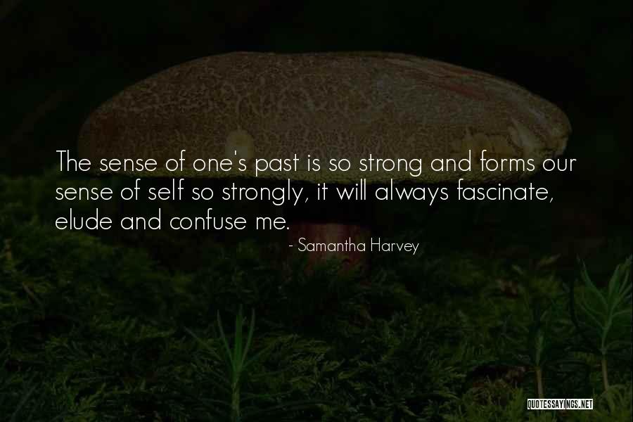 Samantha Harvey Quotes 631717