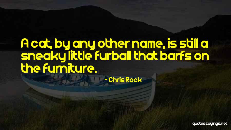 Samat Tamin Quotes By Chris Rock Samat Tamin Quotes By Chris Rock