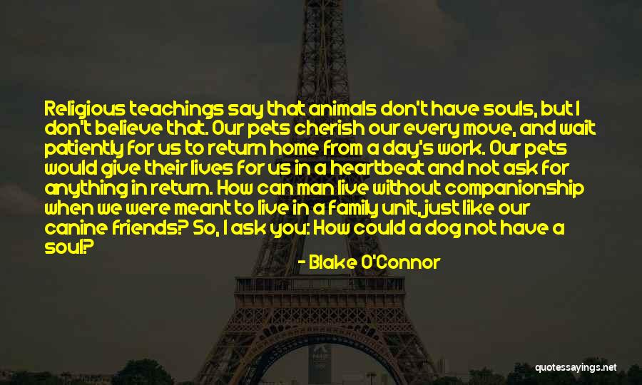 Sambil Lewa Quotes By Blake O'Connor Sambil Lewa Quotes By Blake O'Connor