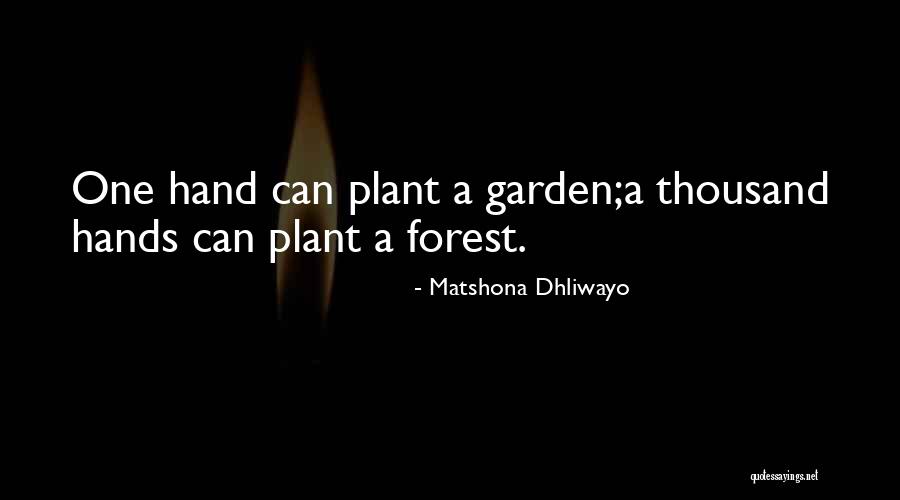 Sambrook Brewery Quotes By Matshona Dhliwayo Sambrook Brewery Quotes By Matshona Dhliwayo