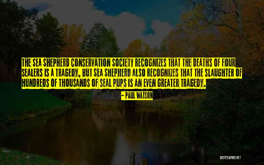 Sambucci Elderberry Quotes By Paul Watson Sambucci Elderberry Quotes By Paul Watson
