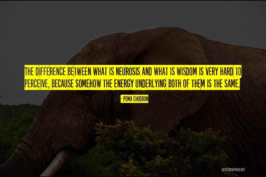Same Difference Quotes By Pema Chodron Same Difference Quotes By Pema Chodron