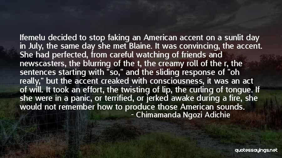 Same Effort Quotes By Chimamanda Ngozi Adichie Same Effort Quotes By Chimamanda Ngozi Adichie