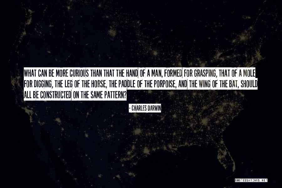 Same Pattern Quotes By Charles Darwin Same Pattern Quotes By Charles Darwin