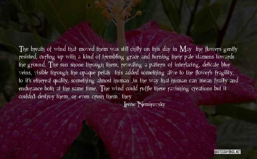 Same Pattern Quotes By Irene Nemirovsky Same Pattern Quotes By Irene Nemirovsky