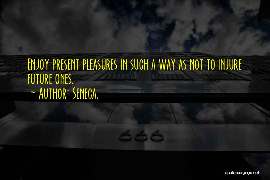 Sameena Groves Quotes By Seneca.