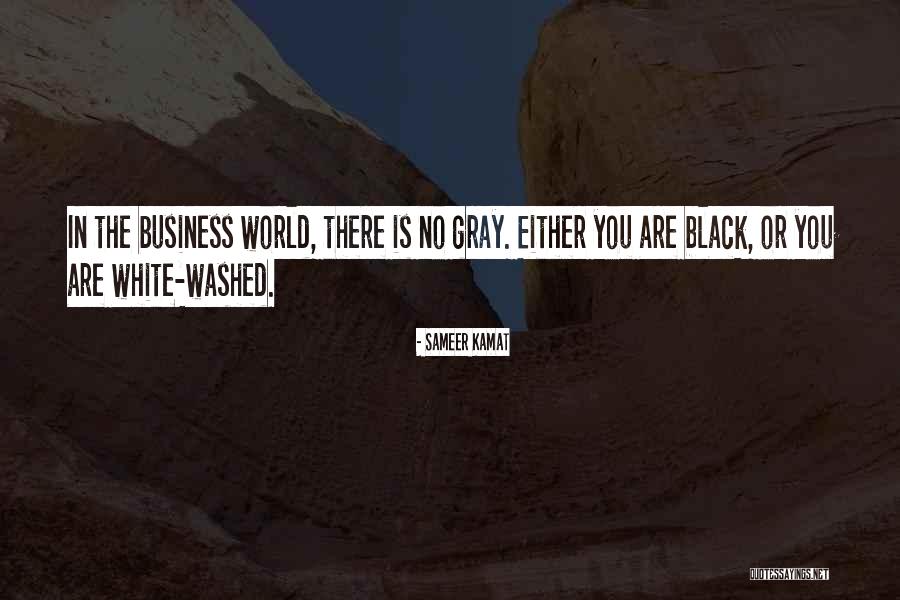 Sameer Kamat Quotes 650772