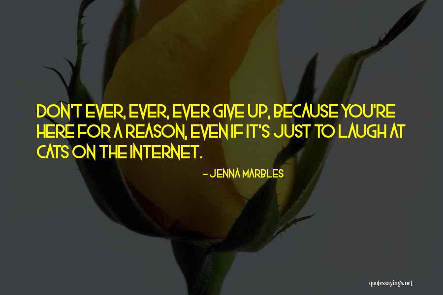 Samela Aird Quotes By Jenna Marbles Samela Aird Quotes By Jenna Marbles