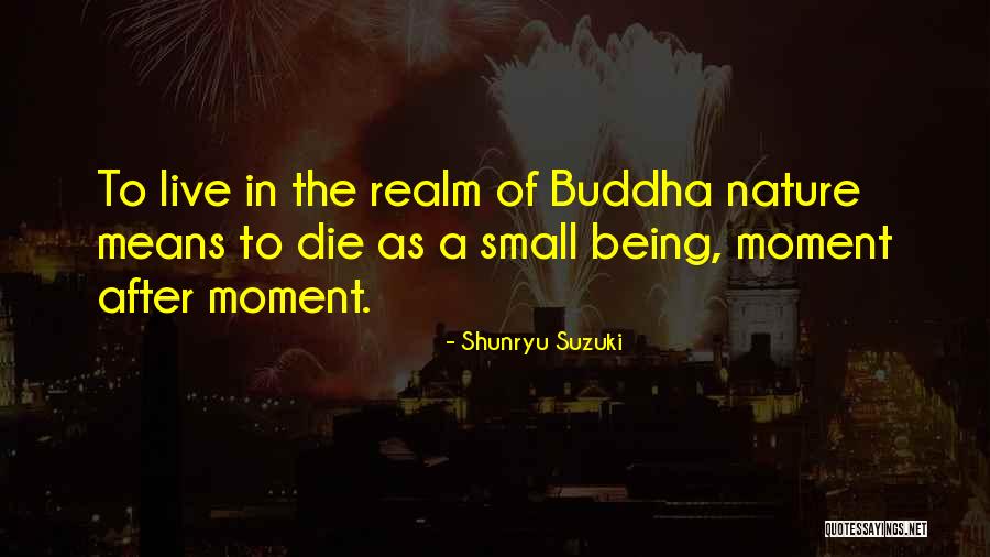 Samela Aird Quotes By Shunryu Suzuki Samela Aird Quotes By Shunryu Suzuki