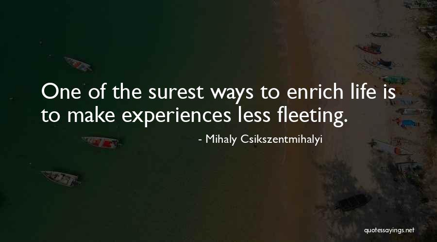 Sametova Quotes By Mihaly Csikszentmihalyi Sametova Quotes By Mihaly Csikszentmihalyi