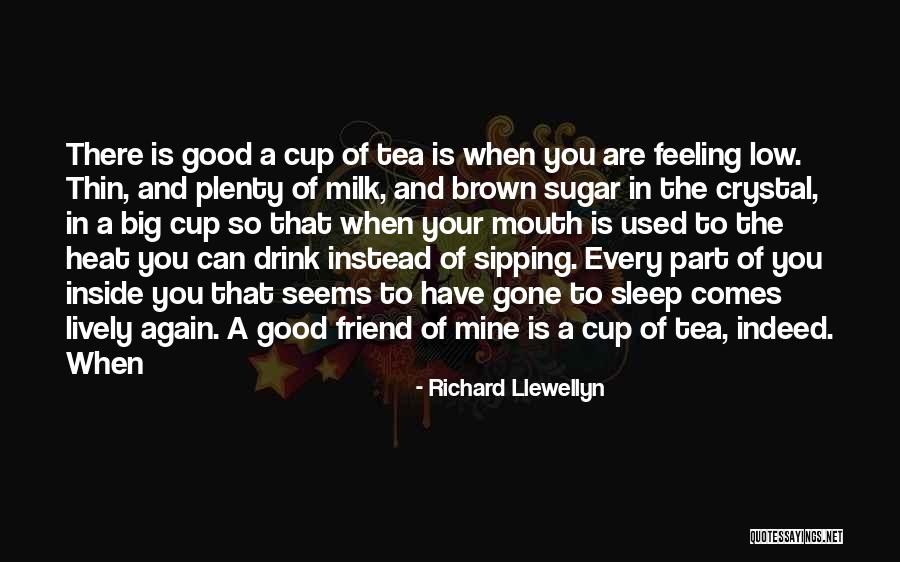 Sameul Snoek Brown Quotes By Richard Llewellyn Sameul Snoek Brown Quotes By Richard Llewellyn