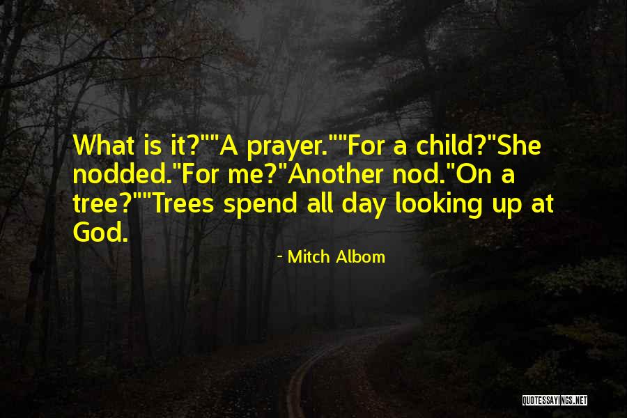 Samey Quotes By Mitch Albom Samey Quotes By Mitch Albom