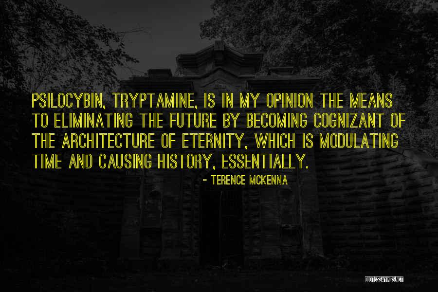 Sammyro Quotes By Terence McKenna Sammyro Quotes By Terence McKenna