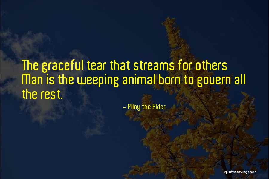 Samoans In Florida Quotes By Pliny The Elder Samoans In Florida Quotes By Pliny The Elder