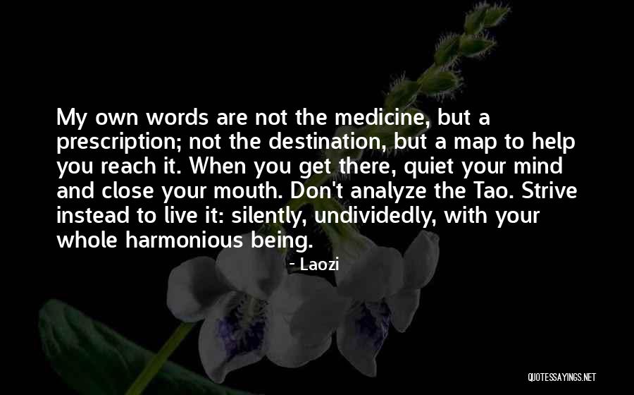 Samoila Mihaela Quotes By Laozi Samoila Mihaela Quotes By Laozi