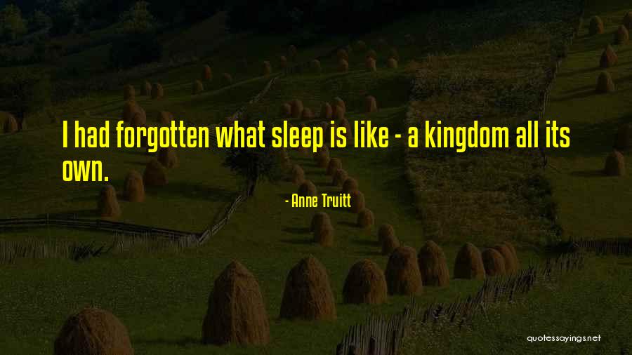 Samori Ture Quotes By Anne Truitt Samori Ture Quotes By Anne Truitt