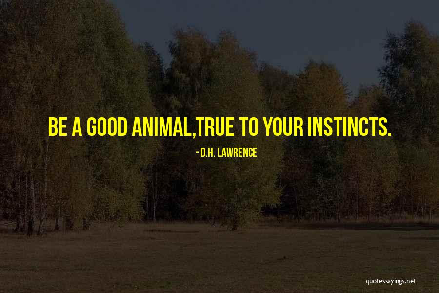Sampaga Maria Quotes By D.H. Lawrence Sampaga Maria Quotes By D.H. Lawrence